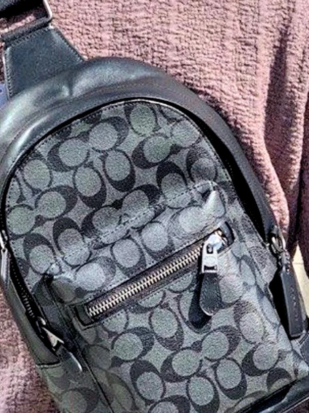 Coach Large Zoe Backpack Black & Brown